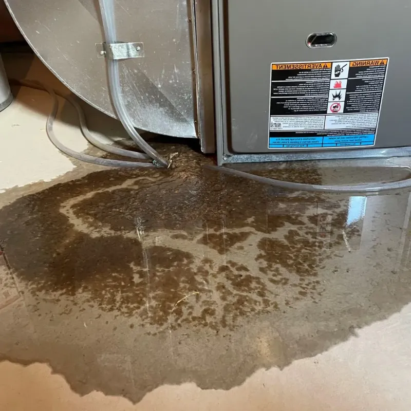 Pipe Burst and Leak Restoration in Texas County, OK