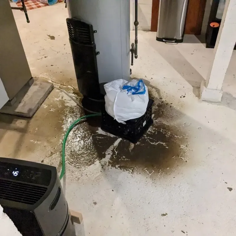 Sewage Backup Cleanup Service in Texas County, OK